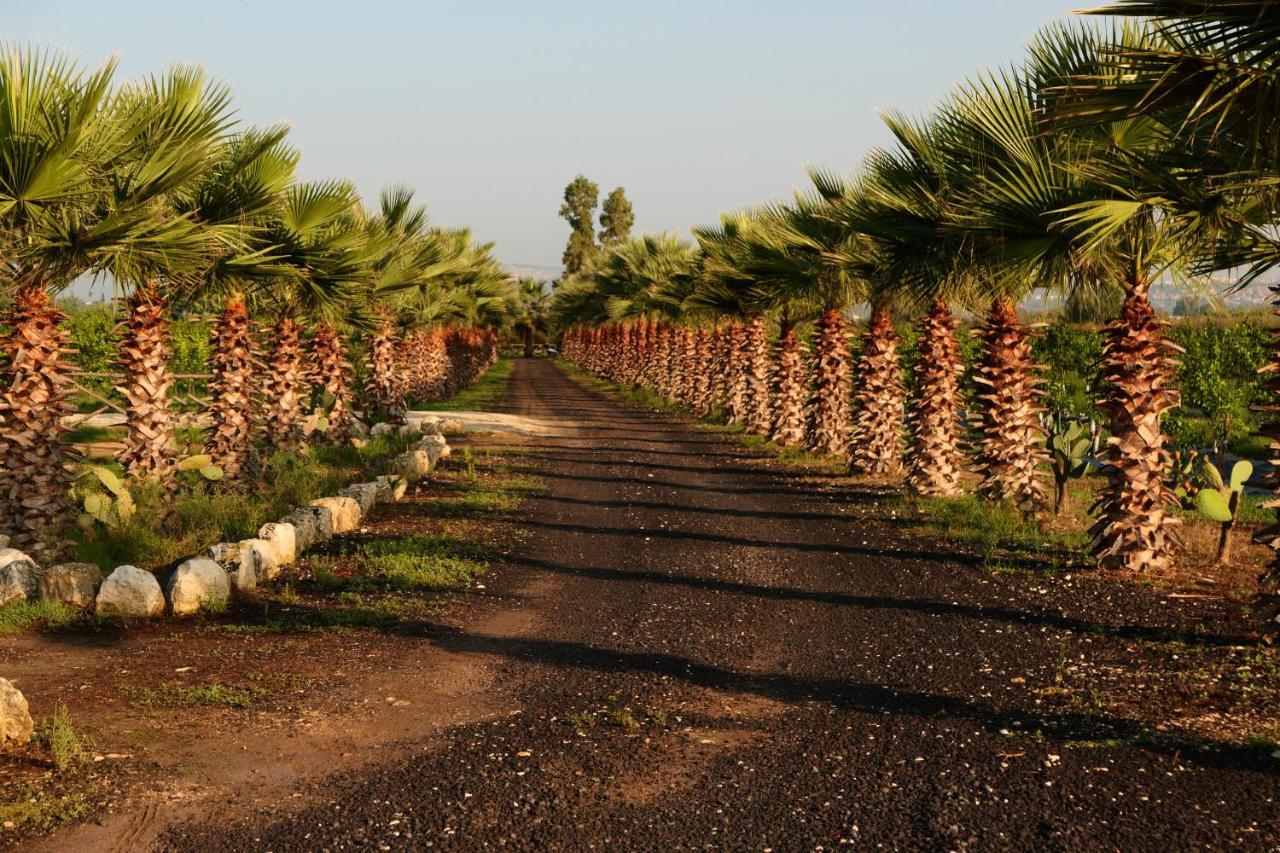 Papyrus Agroturismo Syracuse