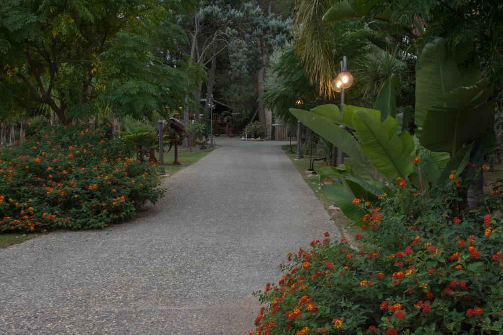 Farm stay Papyrus *